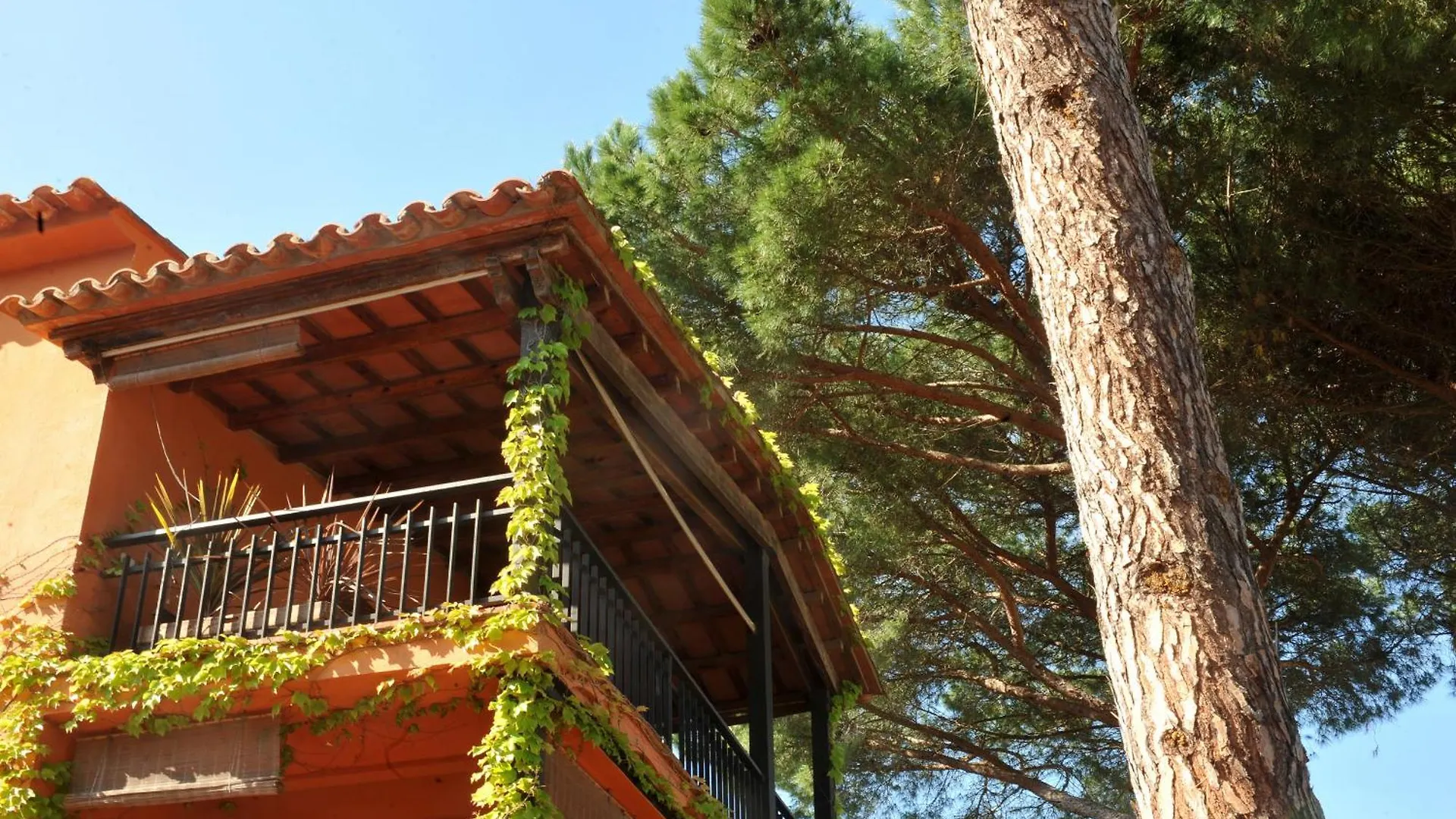 Olives Villa L'Escala Spain