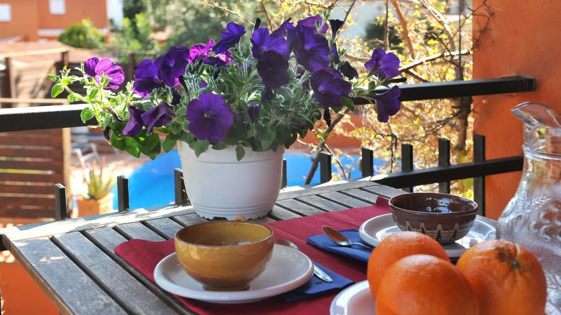 Olives Villa L'Escala Holiday home